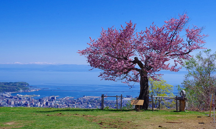 天狗桜展望台