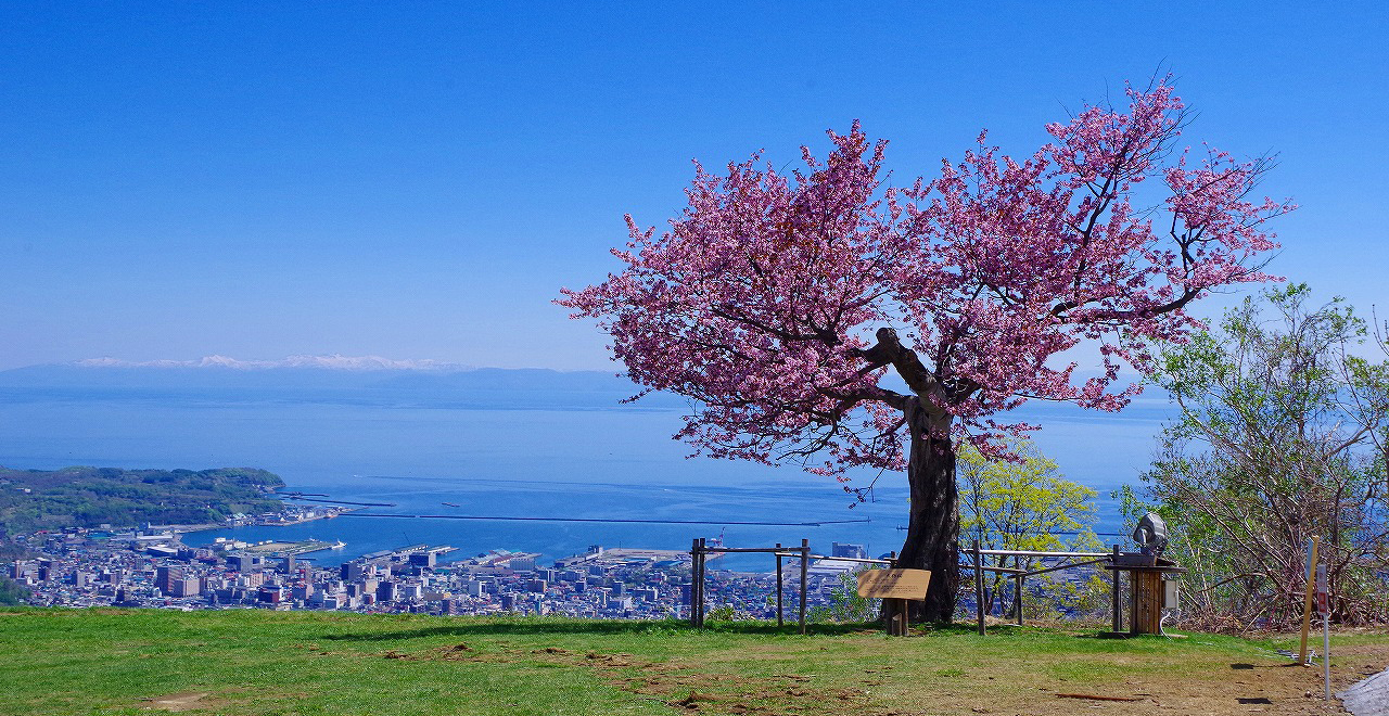 天狗桜展望台