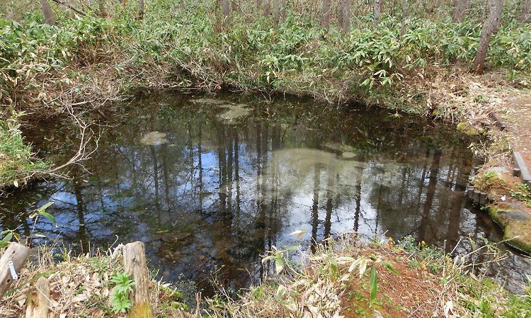 湧水でできた泉（百貫清水）