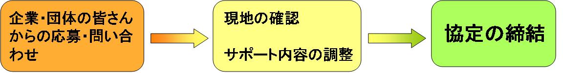 画像：サポーター決定までの流れ