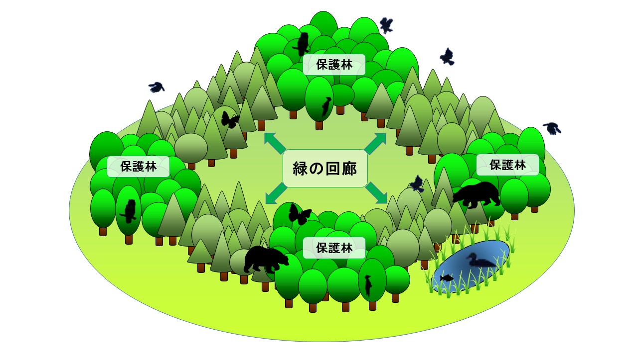 緑の回廊 林野庁