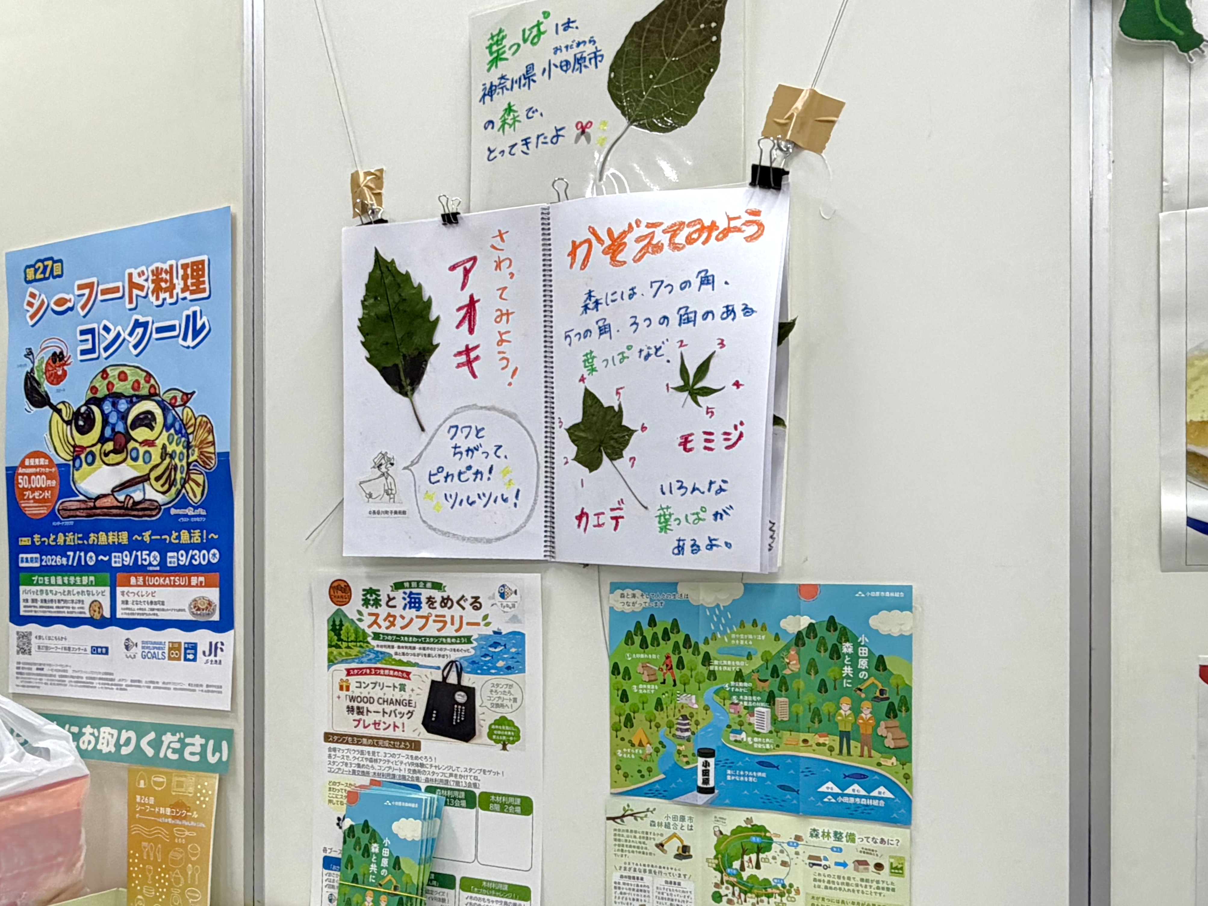 水産庁のブースで、森の環がわかるパンフレットや葉の解説をする様子