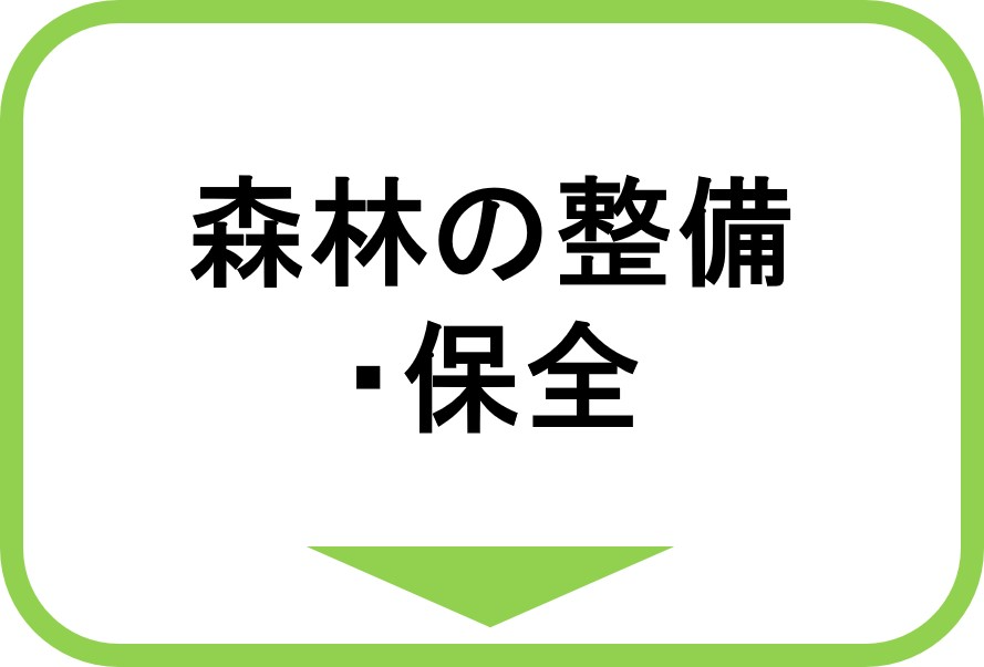 森林の整備と保全