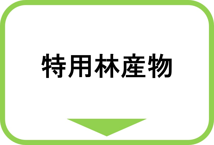 特用林産物
