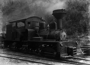 シェー式蒸気機関車