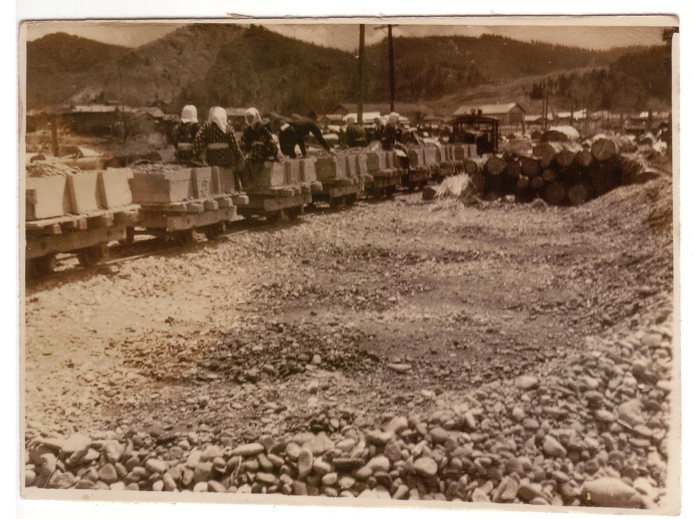 【東北局：森林鉄道】10（仁鮒森林鉄道）資材運搬列車に乗る作業職員_年代昭和