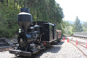 赤沢自然休養林森林鉄道3