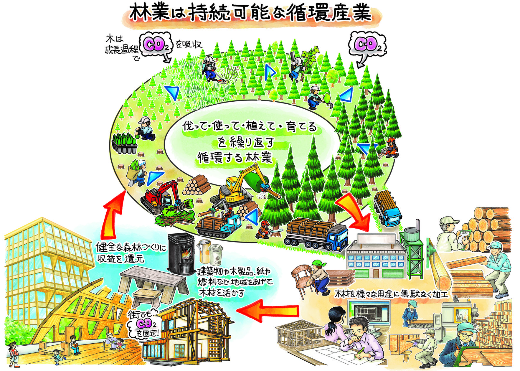 森林業循環活用図