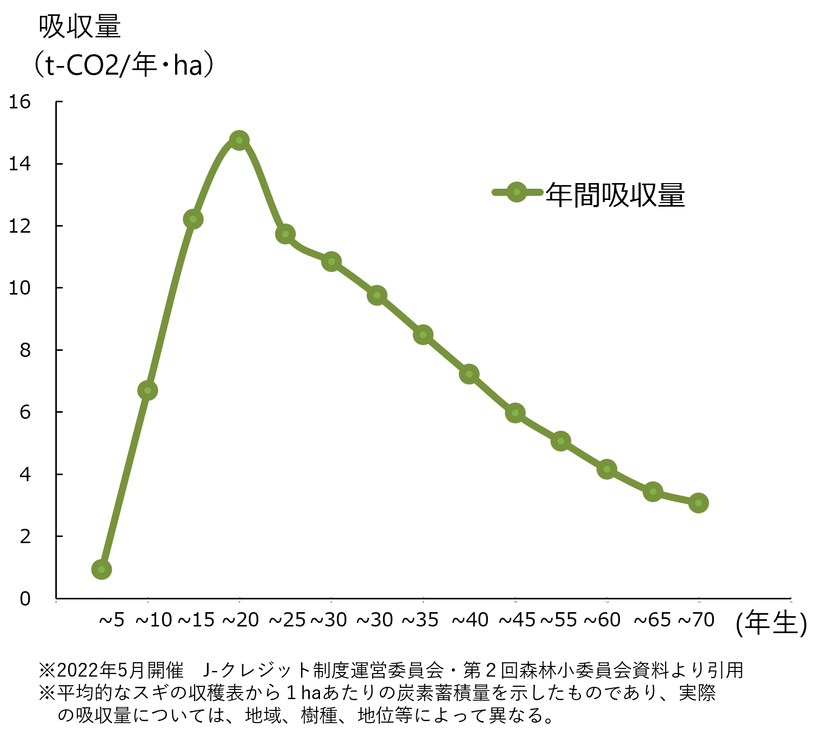 樹木は植えてから20年経った頃最も勢いよく成長し、その後成長量は小さくなっていきます