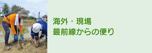 海外・現場最前線からの便り