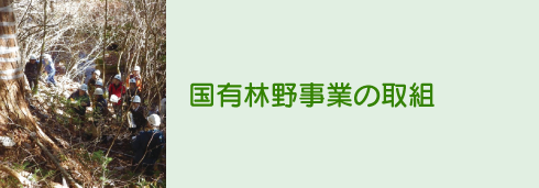 国有林野事業の取組
