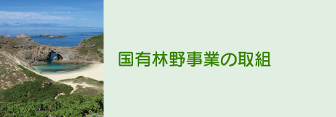 国有林野事業の取組