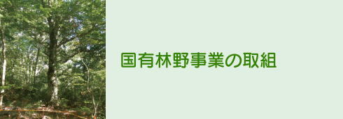 国有林野事業の取組
