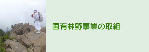 国有林野事業の取組