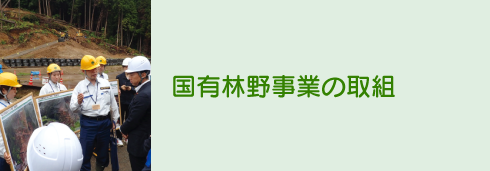 国有林野事業の取組
