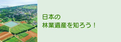 日本の林業遺産を知ろう！