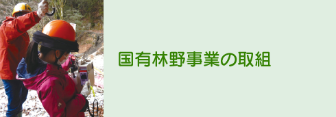 国有林野事業の取組