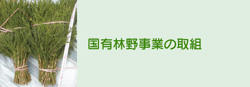 国有林野事業の取組