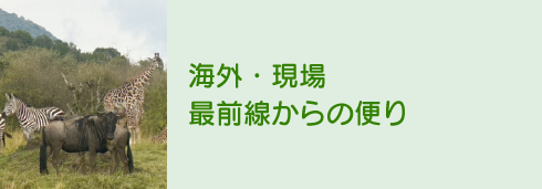 海外・現場最前線からの便り