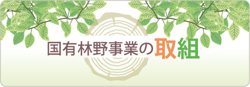 国有林野事業の取組