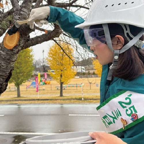 緑の大使が行く　2025年12月号