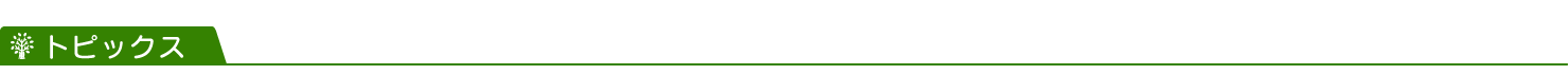 トピックス見出し