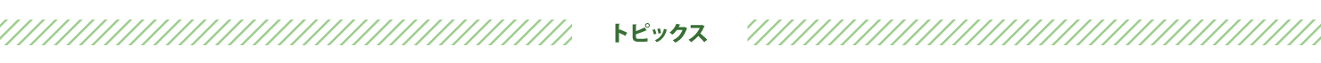 トピックス見出し