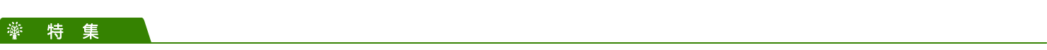 特集見出し