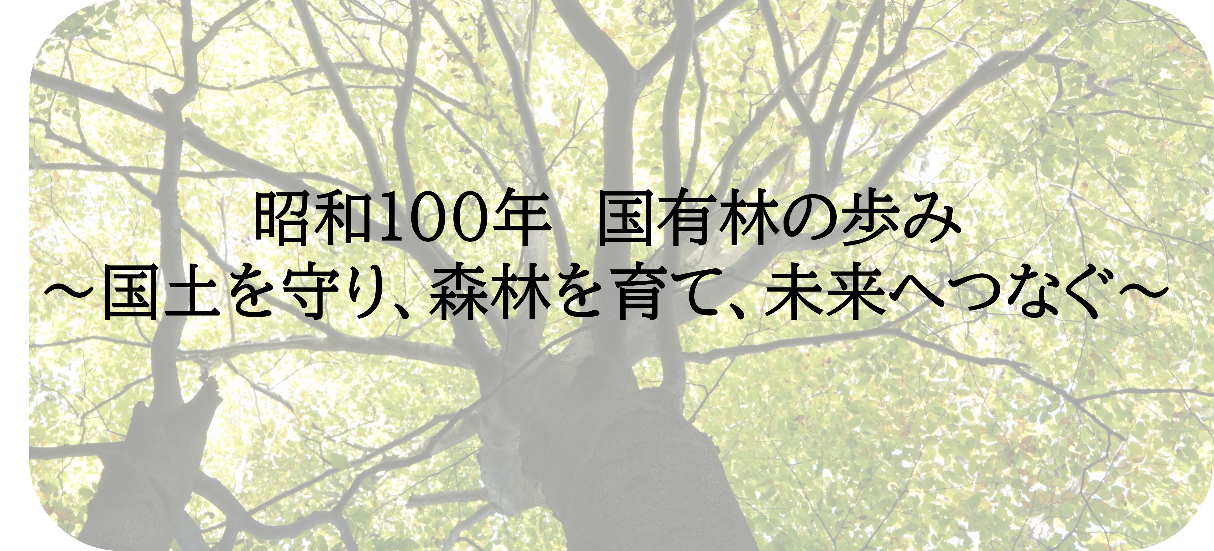 昭和100年国有林の歩み