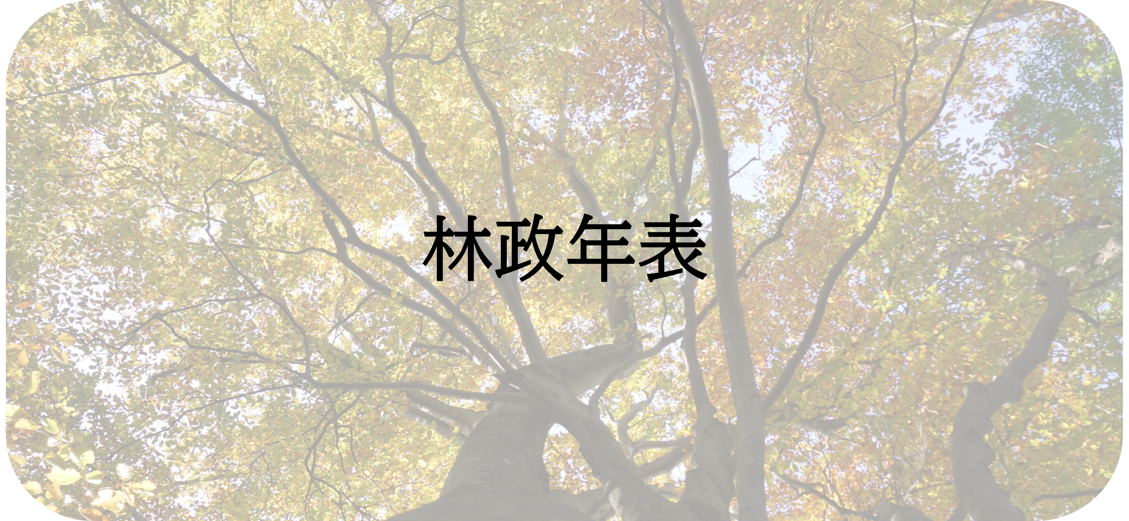 林政年表