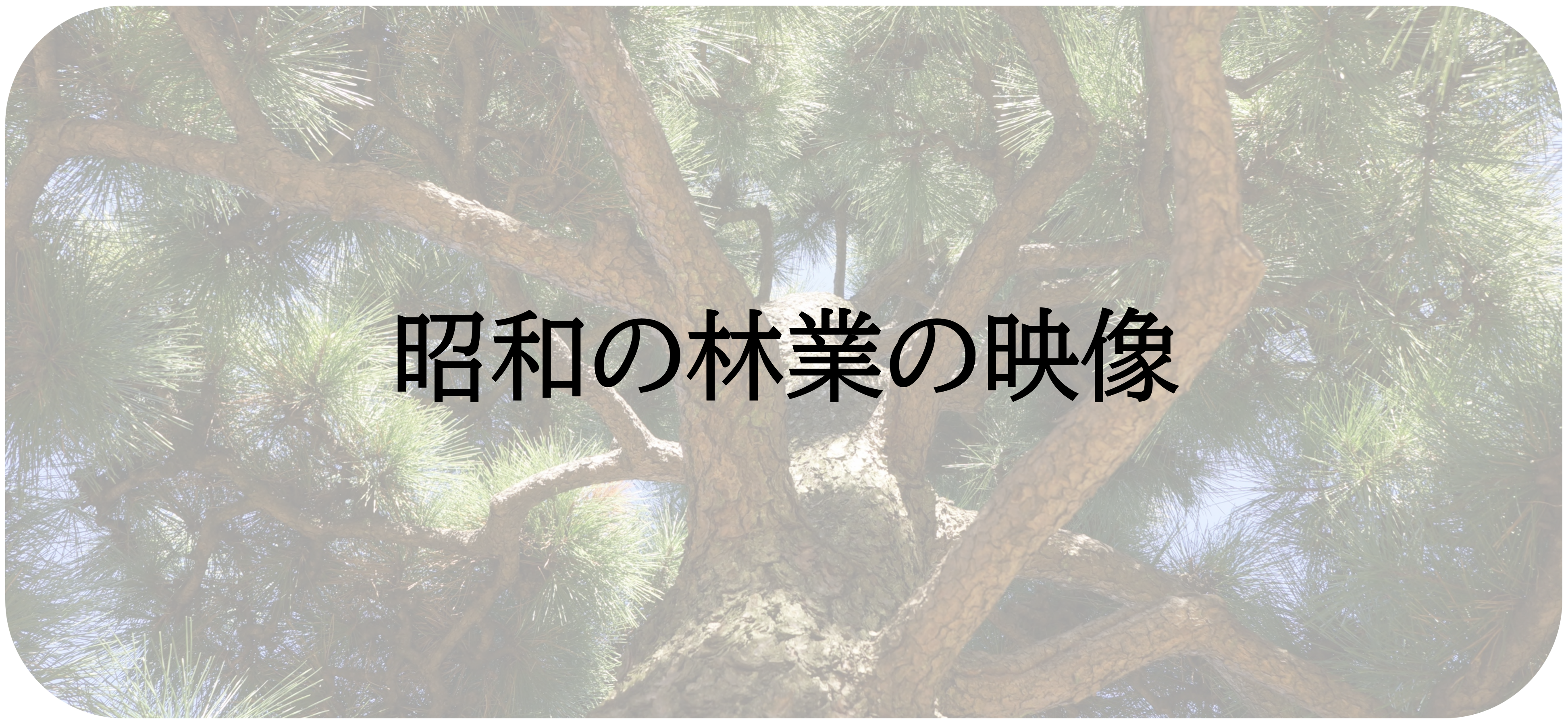 昭和の林業の映像