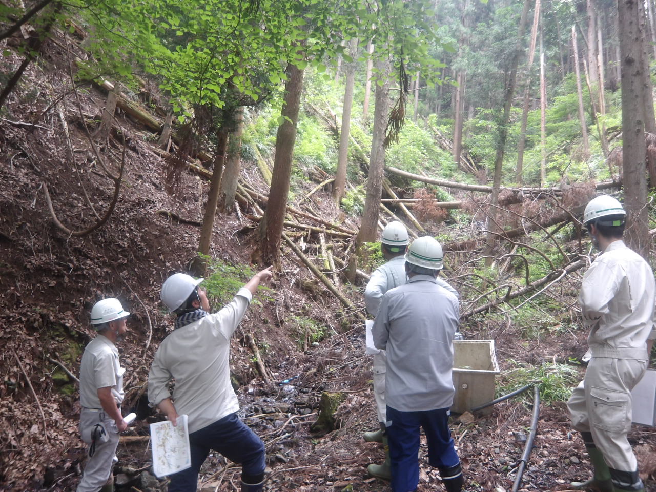 山地防災パトロール
