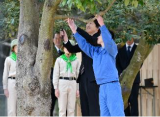 お手入れの介添え（全国育樹祭）