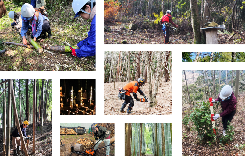 Kənd meşələrinin çoxşaxəli funksiyalarını canlandırmaq yolu ilə gücləndirmək üçün tədbirlər üçün subsidiyalar: Meşəçilik Agentliyi