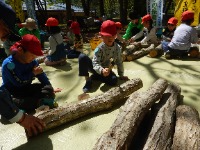 森林環境教育幼児