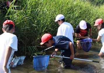 子どもサミット川遊び