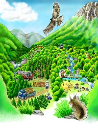 上空からの森林