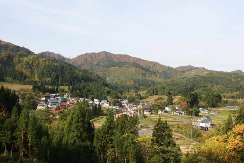 秋の根古