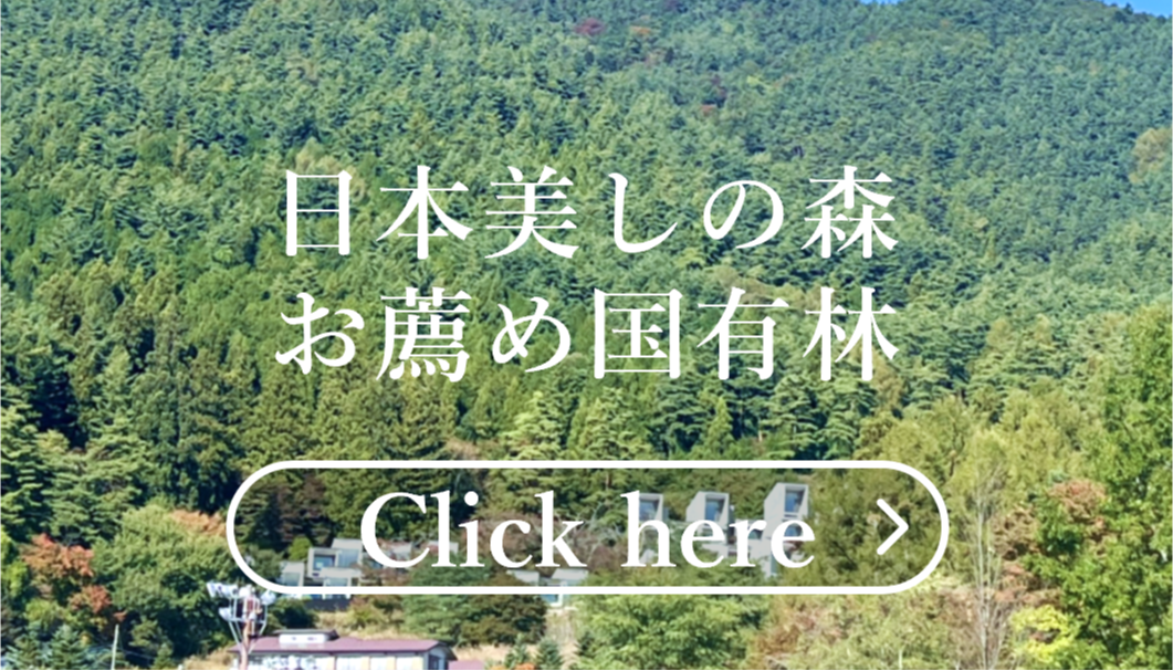 日本美しの森 お薦め国有林（バナー）