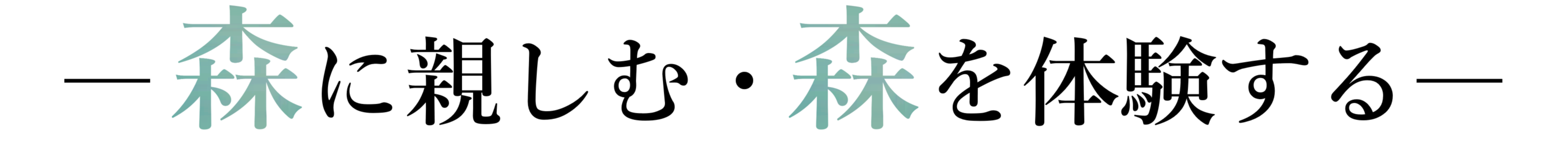 森に親しむ、森を体験する