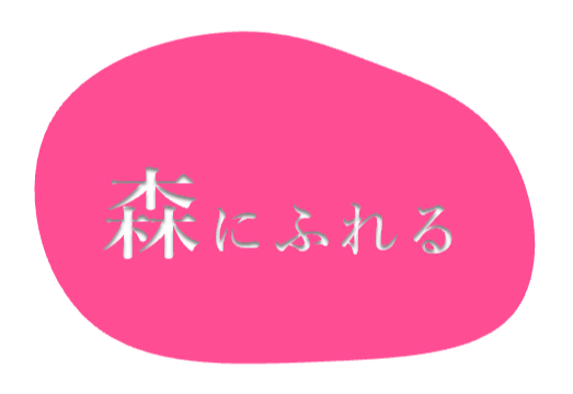 森にふれる