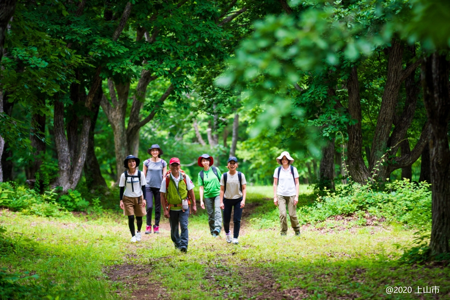 森業ポータルトップ画像「森林サービス産業(上山市地域(©2020))」