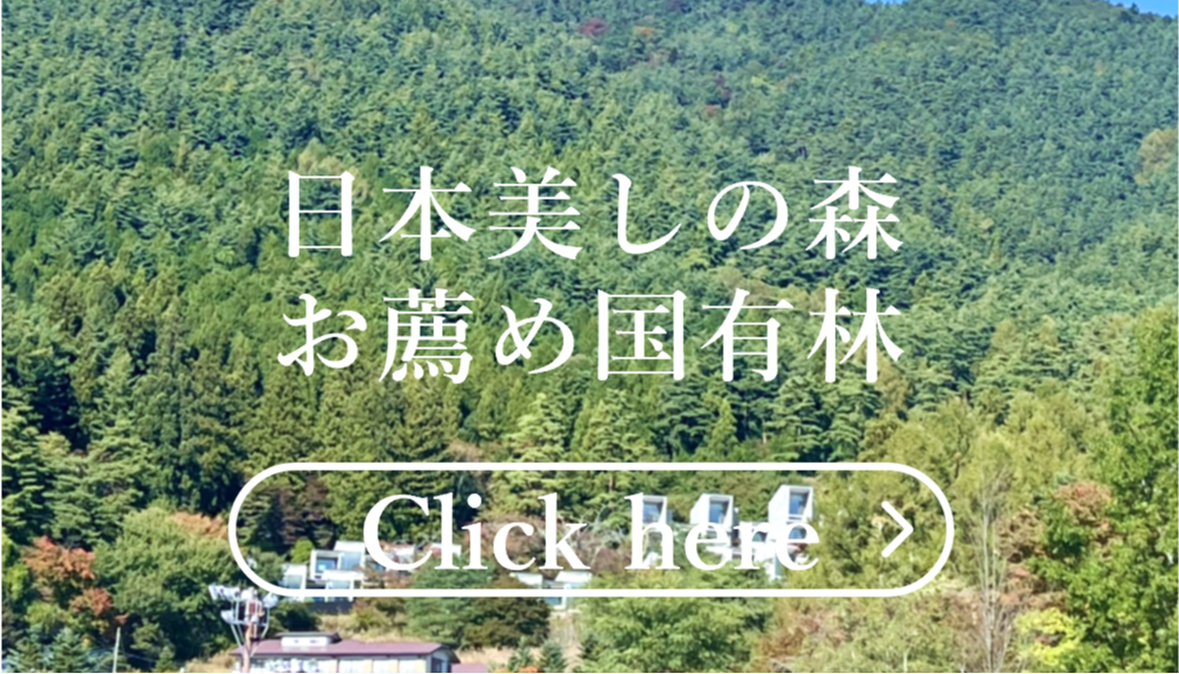 日本美しの森お薦め国有林はこちらをクリック