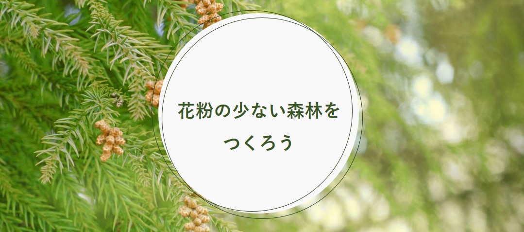 花粉の少ない森林をつくろう