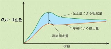 吸収・排出量