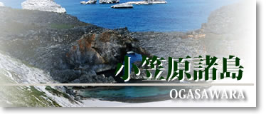 ogasawara