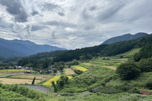 里山林