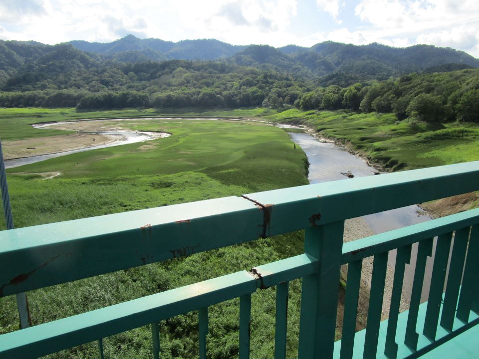 橋からみる森林