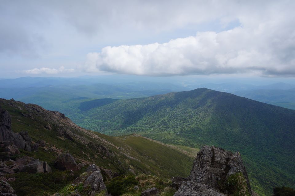 山頂から見下ろす景色