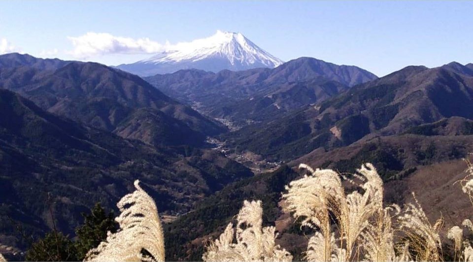 水源林から見える富士山